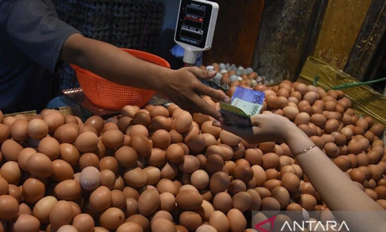 Bapanas: Telur ayam Rp29.018/kg, bawang merah Rp37.800/kg