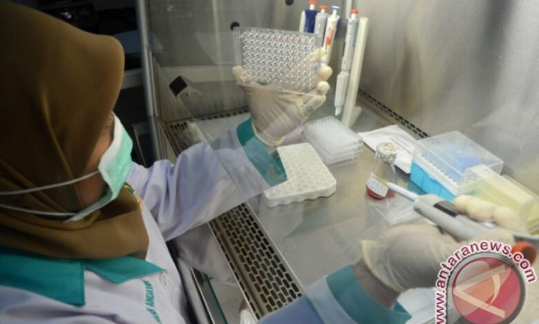 Virus flu burung: penyebab, gejala, juga cara mengatasinya