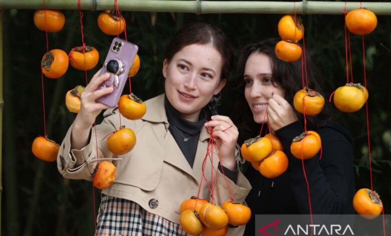 Khasiat buah kesemek untuk ibu hamil, bagaimana cara mengonsumsinya?