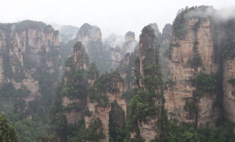 Terbuai ke puncak gunung Avatar