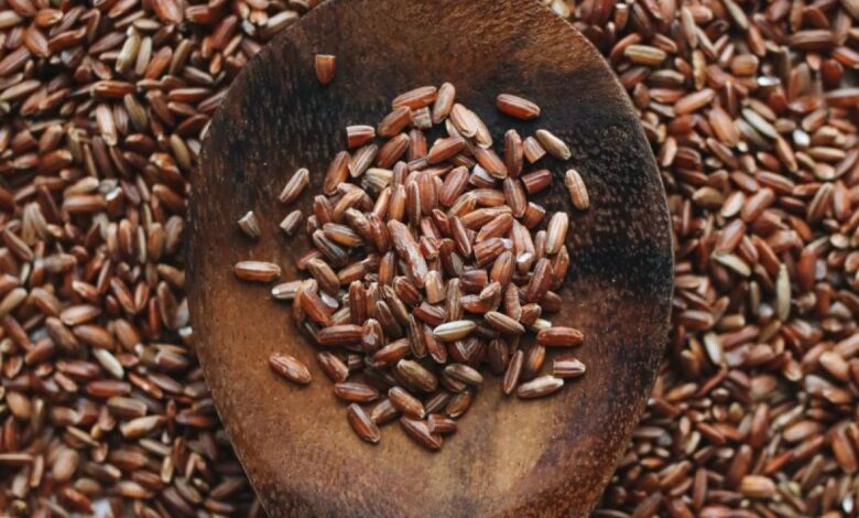 Manfaat konsumsi beras merah untuk kesejahteraan tubuh